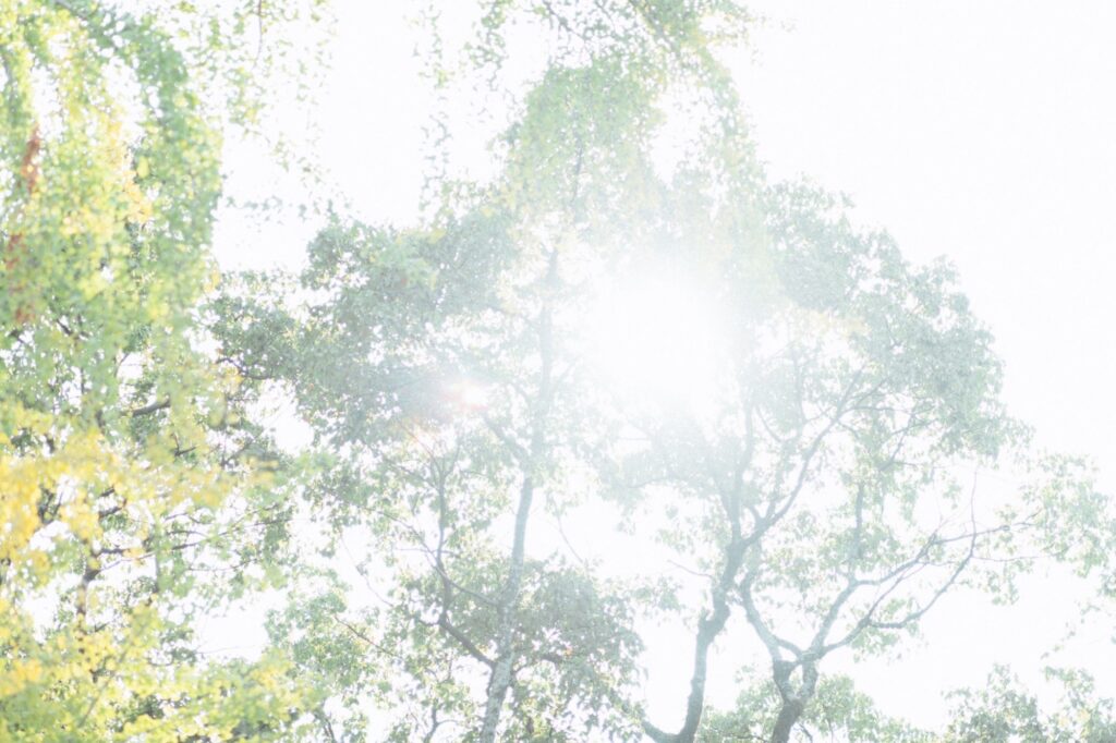 未来を明るく照らす